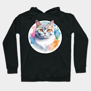 British Shorthair Cat Watercolor Drawing Hoodie